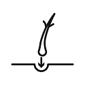 Implantationsphase (Implantation Phase)