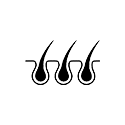 Auswahl der Grafts